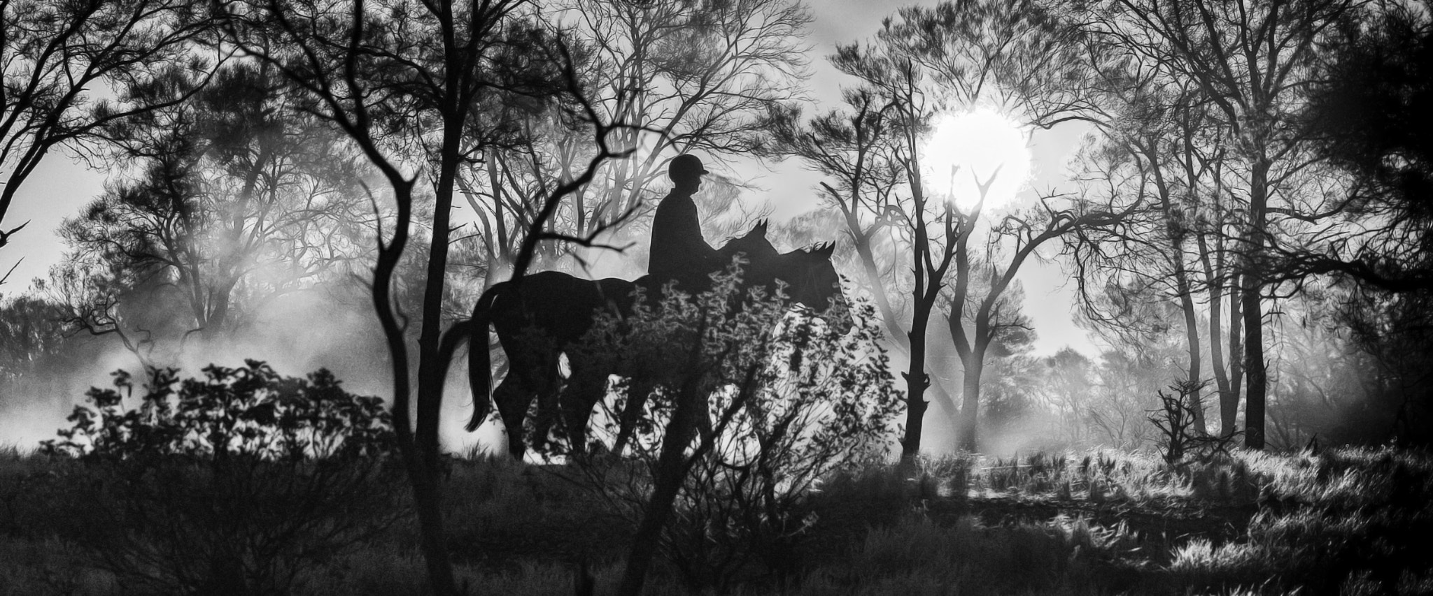 Nikon D4 sample photo. "misty morn" photography