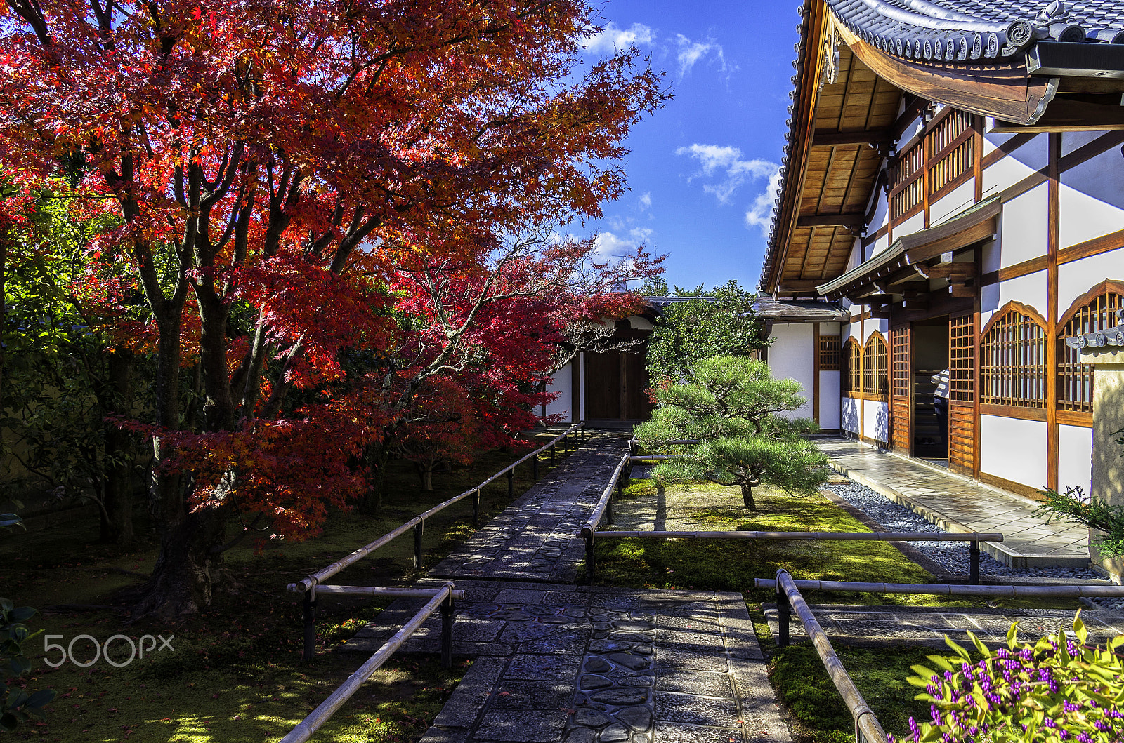Pentax smc DA 17-70mm F4.0 AL (IF) SDM sample photo. Kyoto photography
