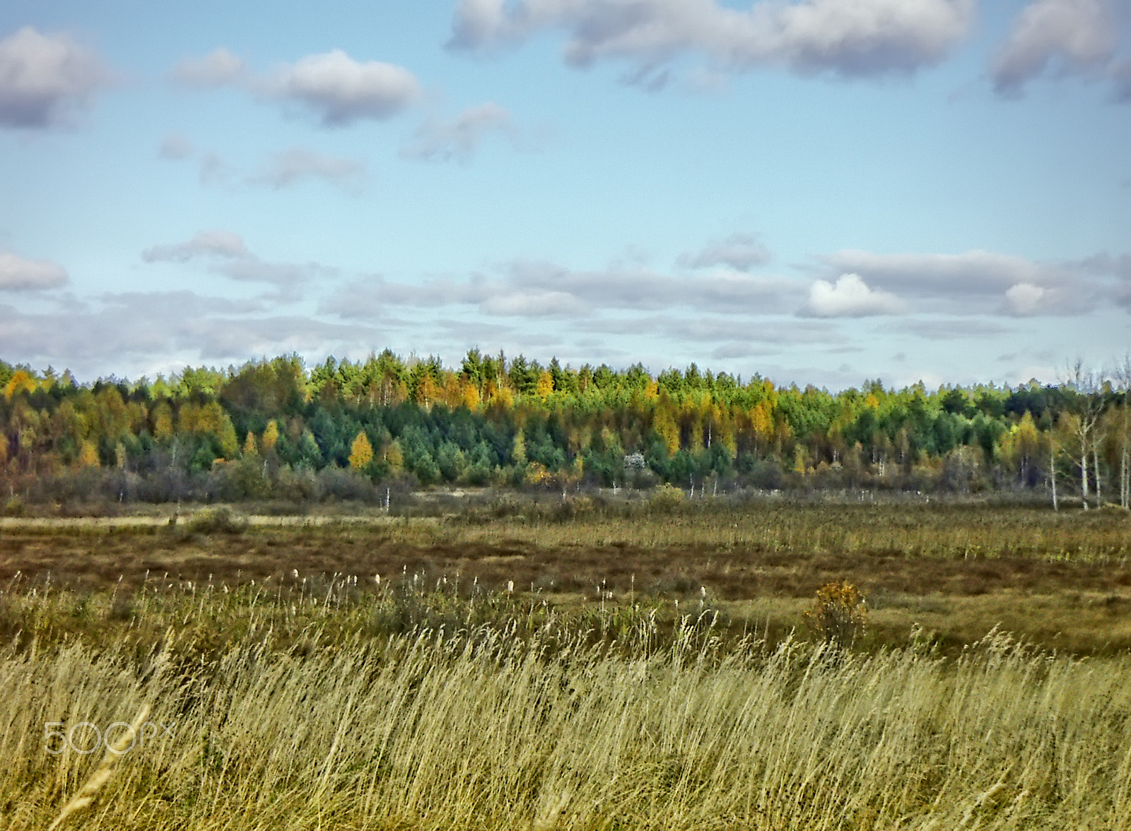 KONICA MINOLTA DiMAGE X31 sample photo. Autumn landscape photography