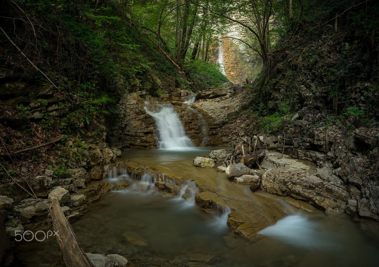 Olympus OM-D E-M1 + OLYMPUS 14-54mm Lens sample photo. Alpine jungle photography