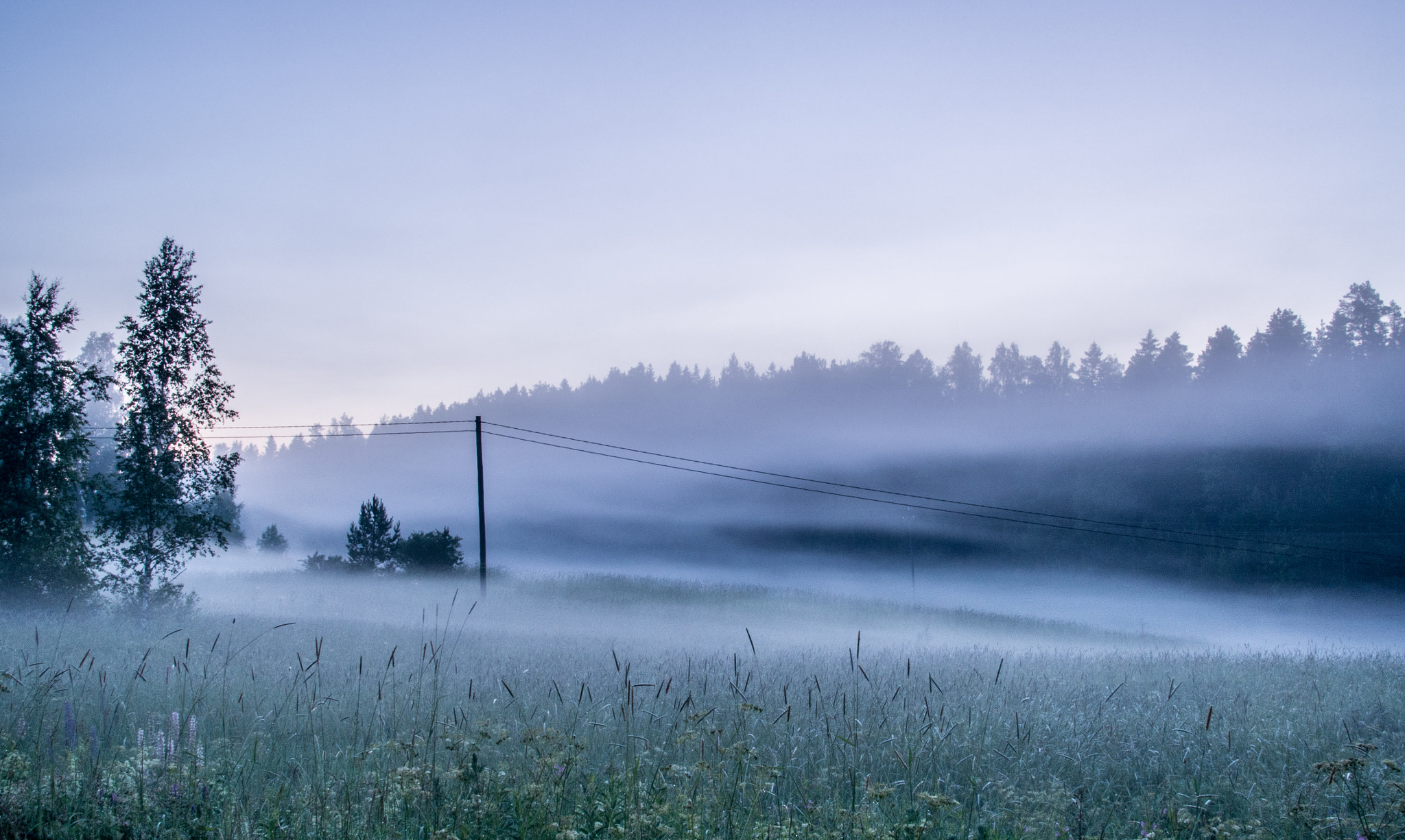 Olympus PEN E-P5 + Sigma 19mm F2.8 DN Art sample photo. Foggy field photography