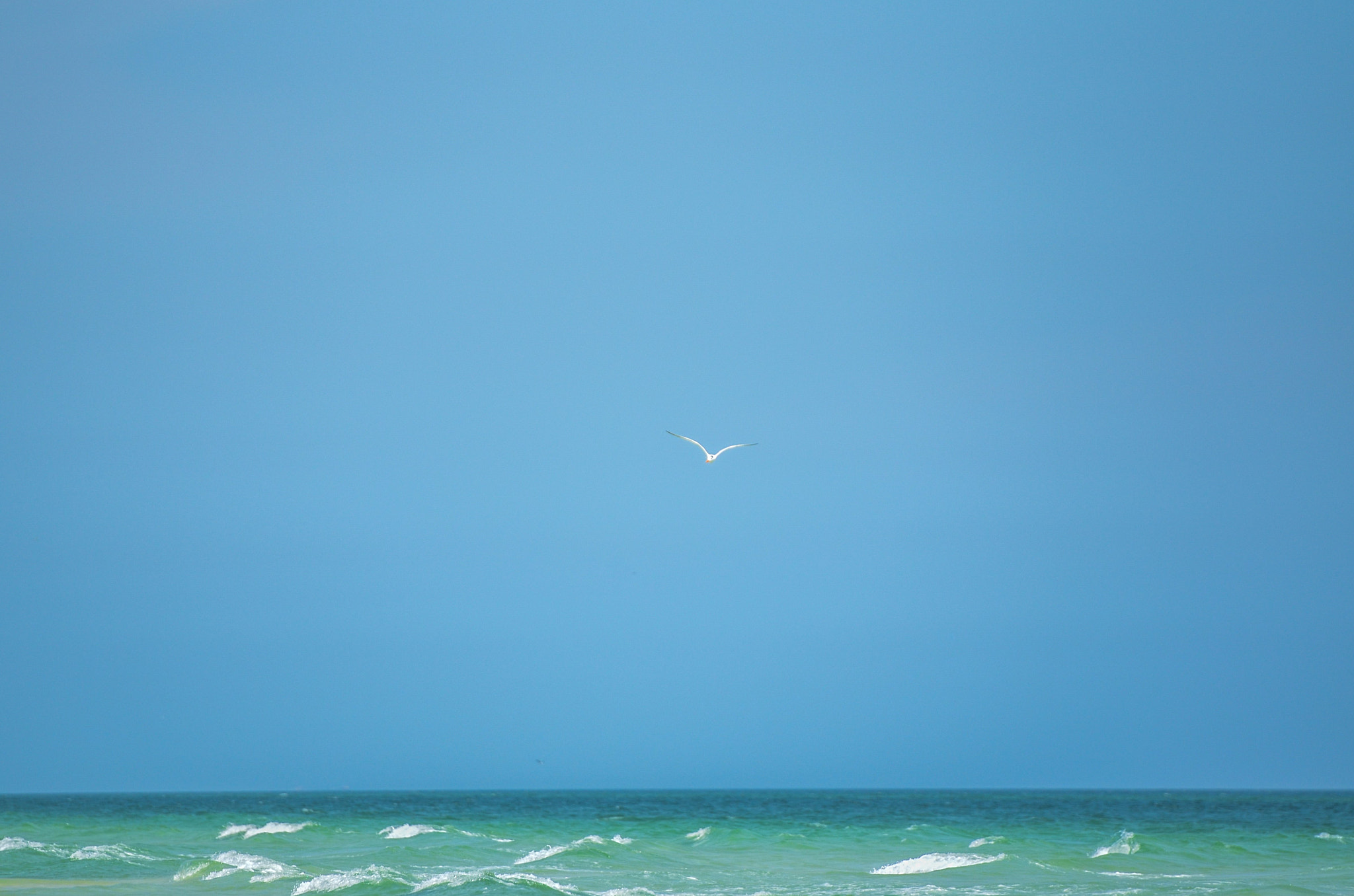 Nikon AF-S Nikkor 70-200mm F2.8G ED VR II sample photo. Vitamin sea. photography