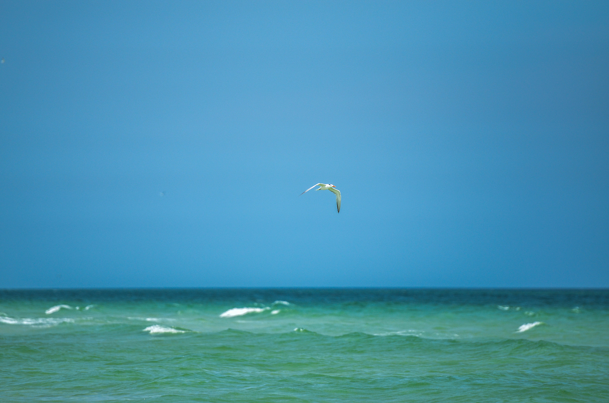 Nikon AF-S Nikkor 70-200mm F2.8G ED VR II sample photo. Vitamin sea. photography