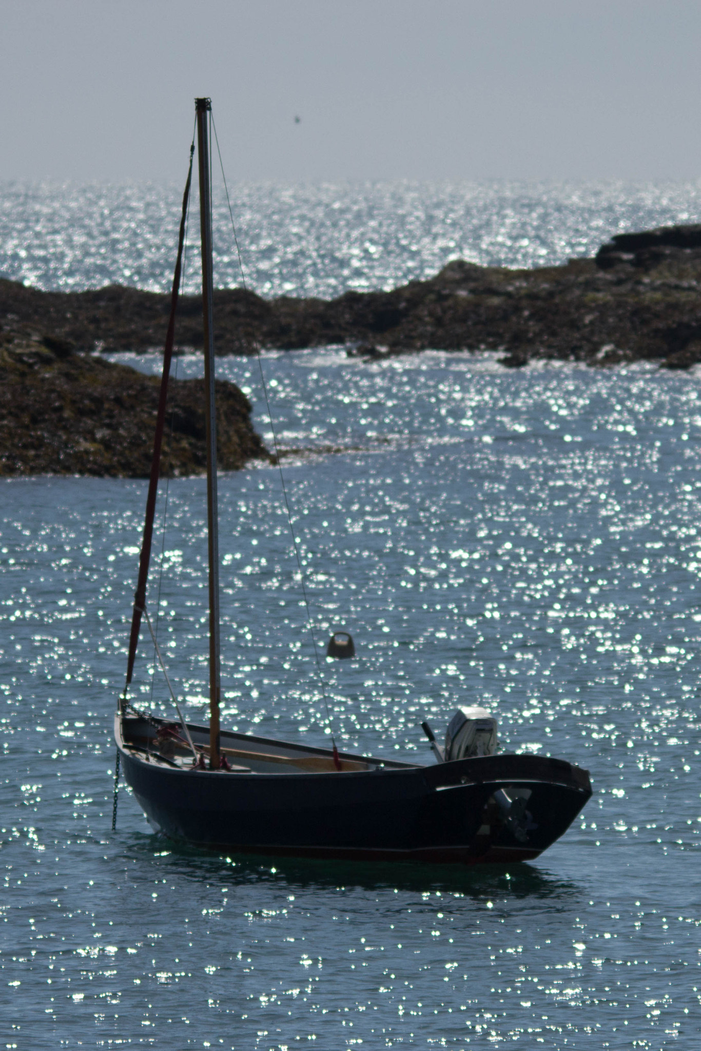 Sigma 150-500mm F5-6.3 DG OS HSM sample photo. On the shiny sea photography