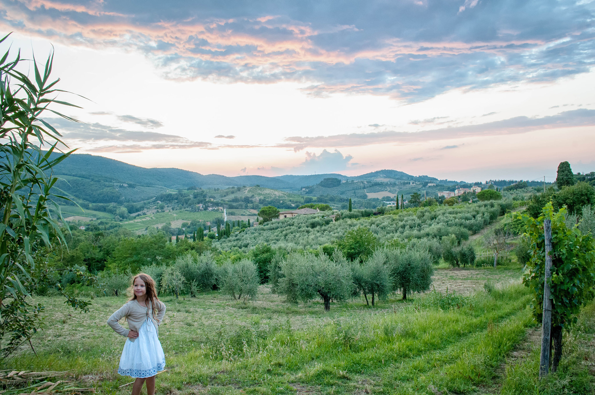 Nikon D300 sample photo. Field in tuscany at twilight photography