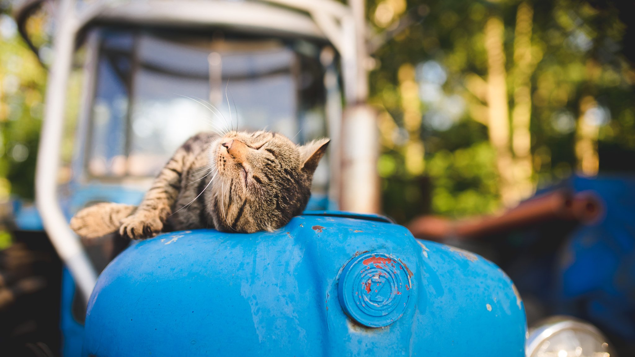 Sony a99 II + Sigma 35mm F1.4 DG HSM Art sample photo. The afternoon he remembered very well photography