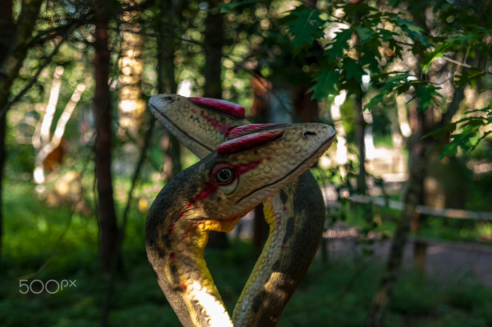 Sony Alpha DSLR-A700 + 24-70mm F2.8 sample photo. Dino photography