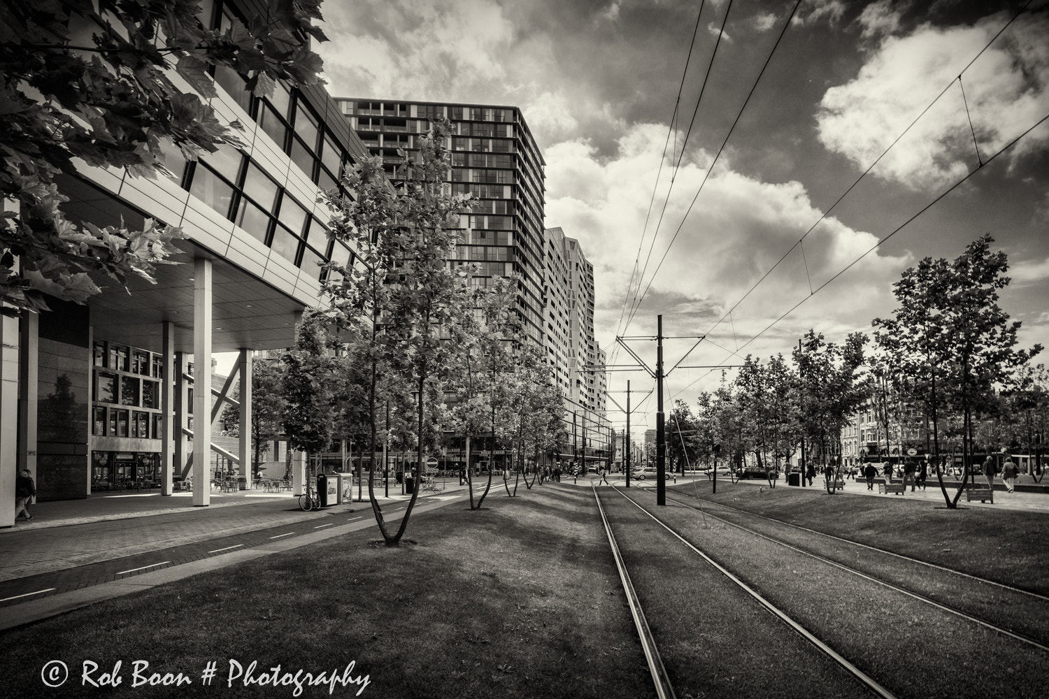 Canon EOS 5DS + Canon EF 16-35mm F4L IS USM sample photo. Rotterdam 8 photography