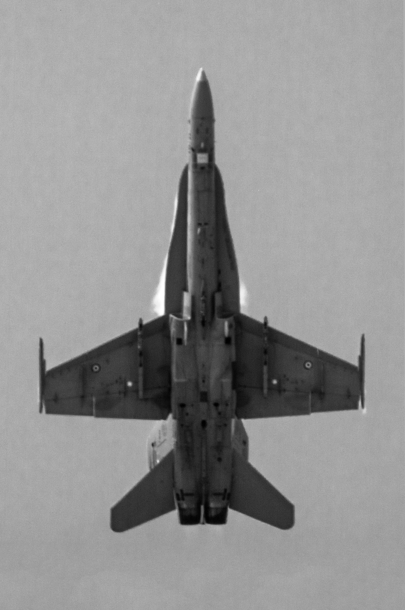 Pentax K20D + Sigma AF Tele 400mm F5.6 Multi-coated sample photo. Ef-18m hornet.jpg photography