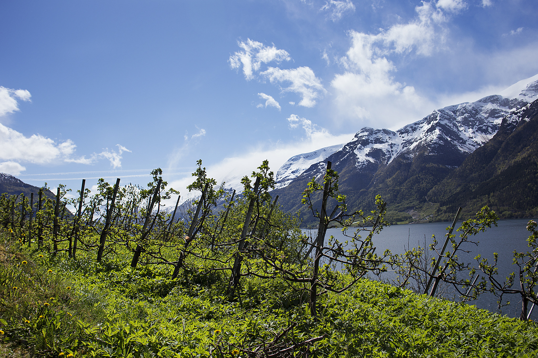 Canon EOS 6D + Canon EF 28mm F2.8 IS USM sample photo. Hardanger, norway photography