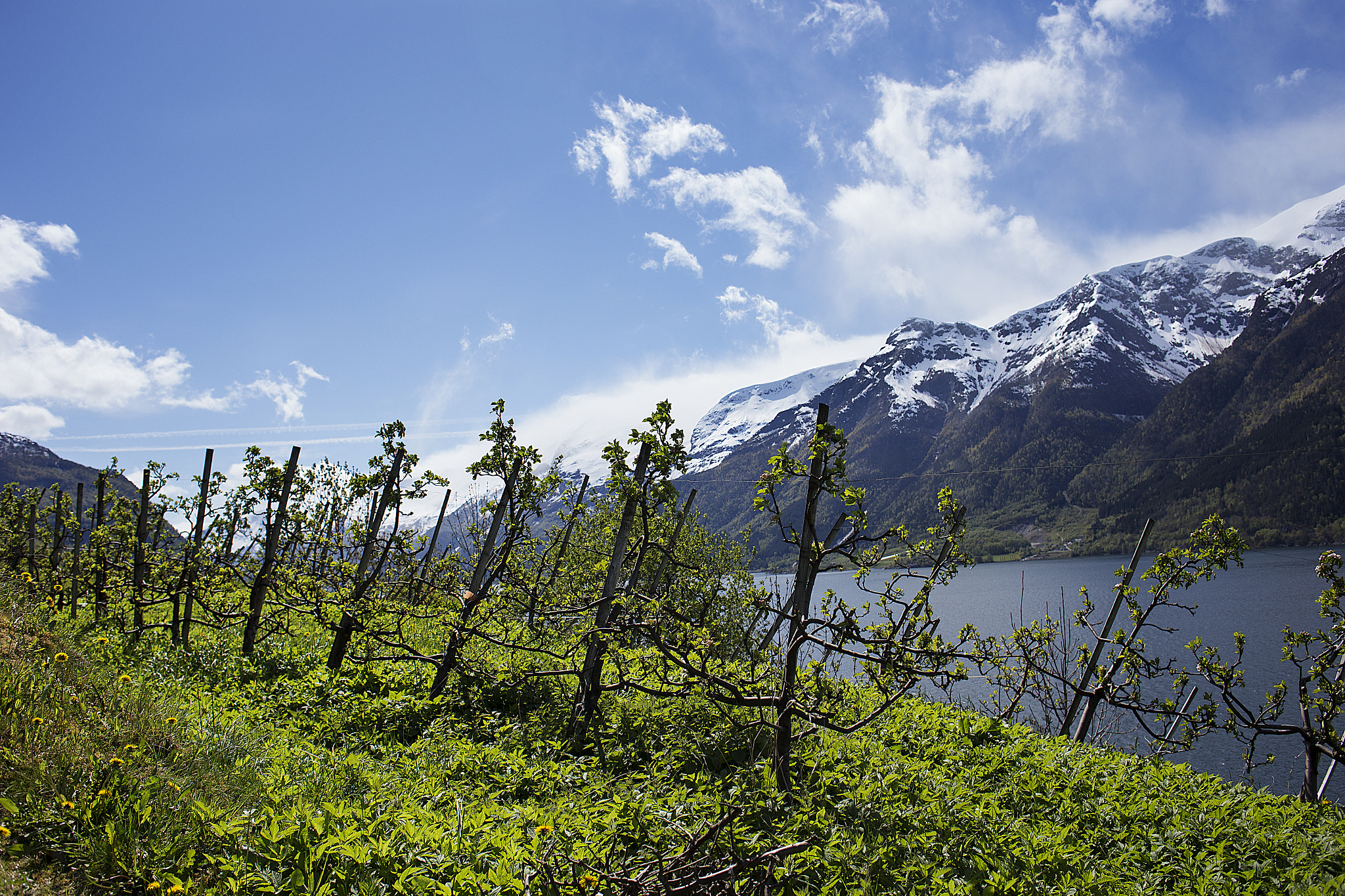 Canon EF 28mm F2.8 IS USM sample photo. Hardanger, norway photography