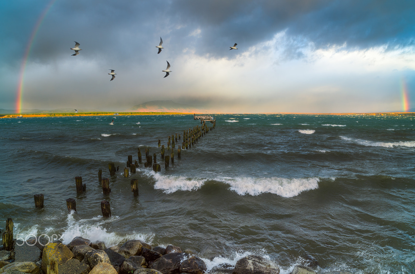 Nikon D4S sample photo. Sea raindbow beards photography