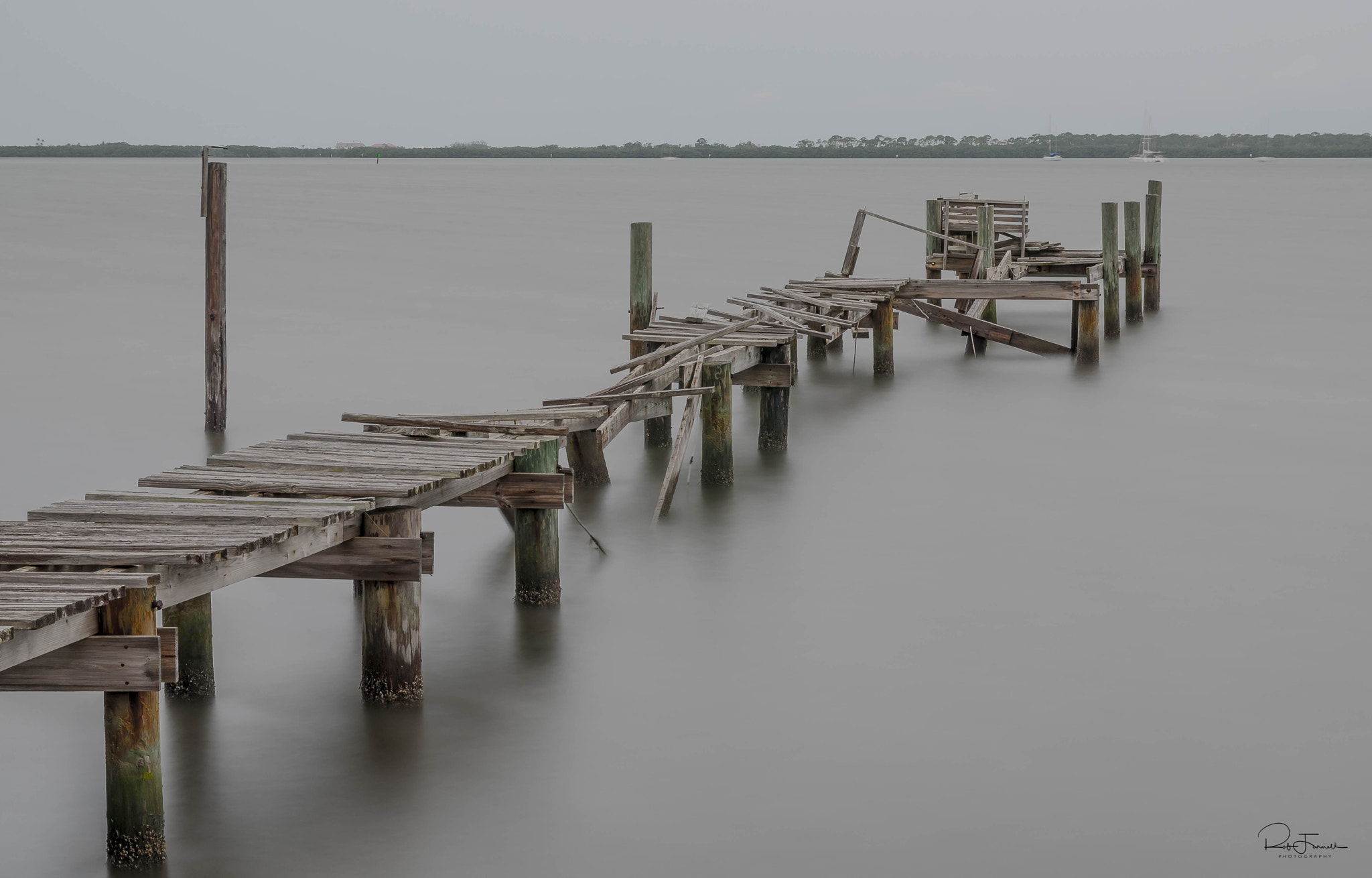 Sigma 17-70mm F2.8-4 DC Macro HSM | C sample photo. Still standing.. photography