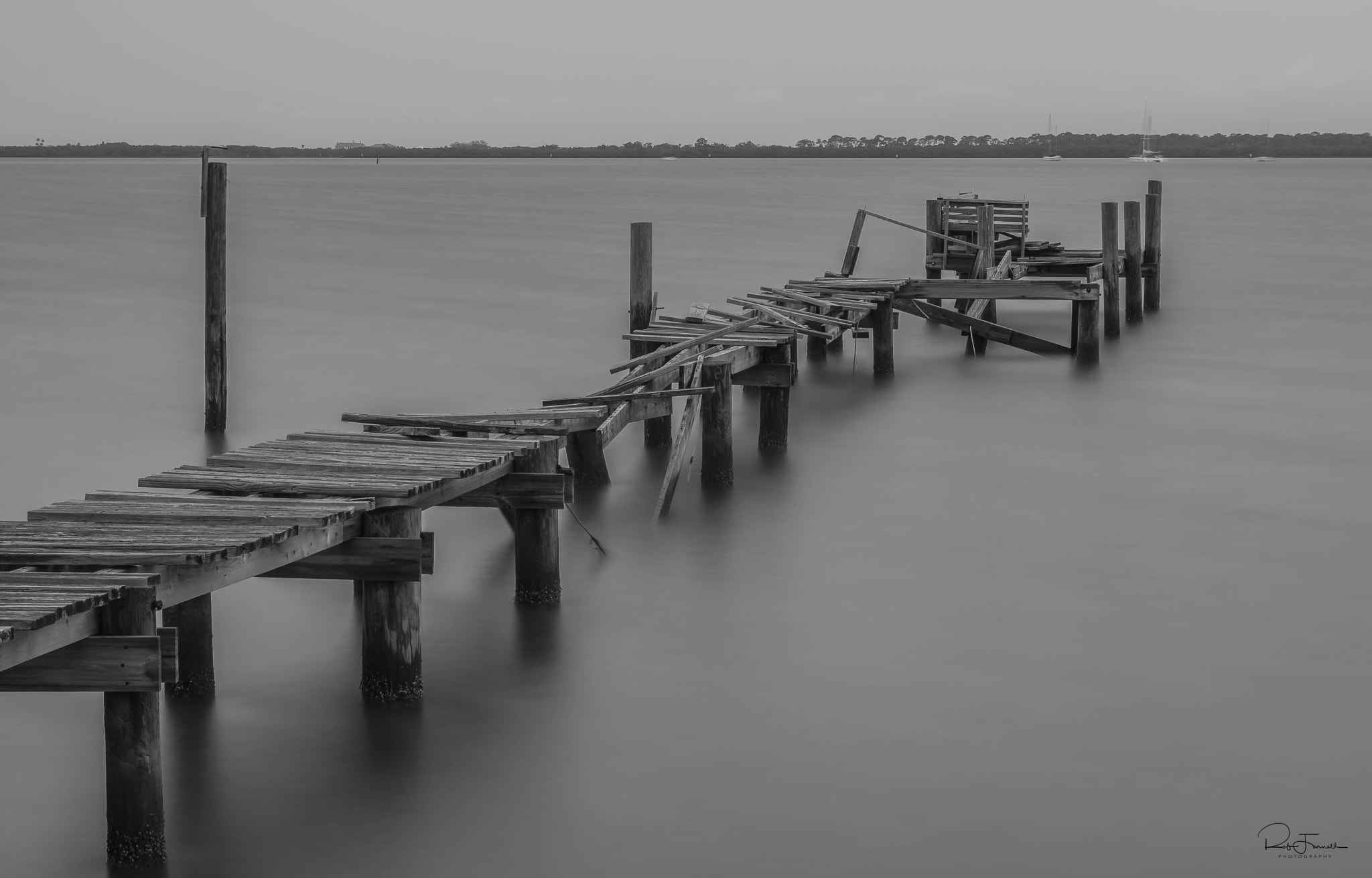 Sigma 17-70mm F2.8-4 DC Macro HSM | C sample photo. Still standing... photography