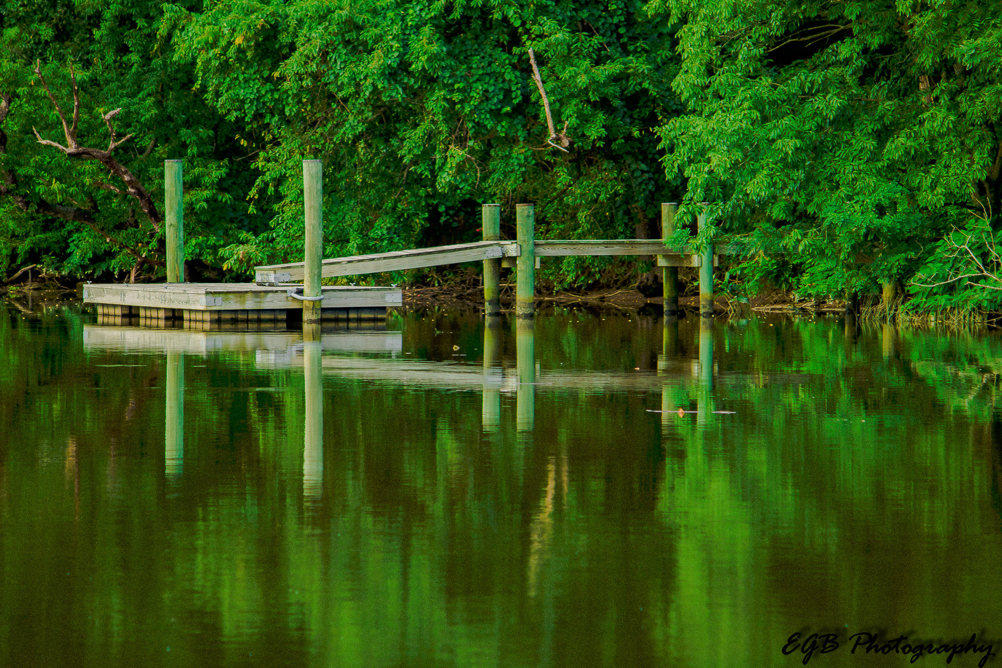 Canon EF-S 55-250mm F4-5.6 IS sample photo. On the still waters photography