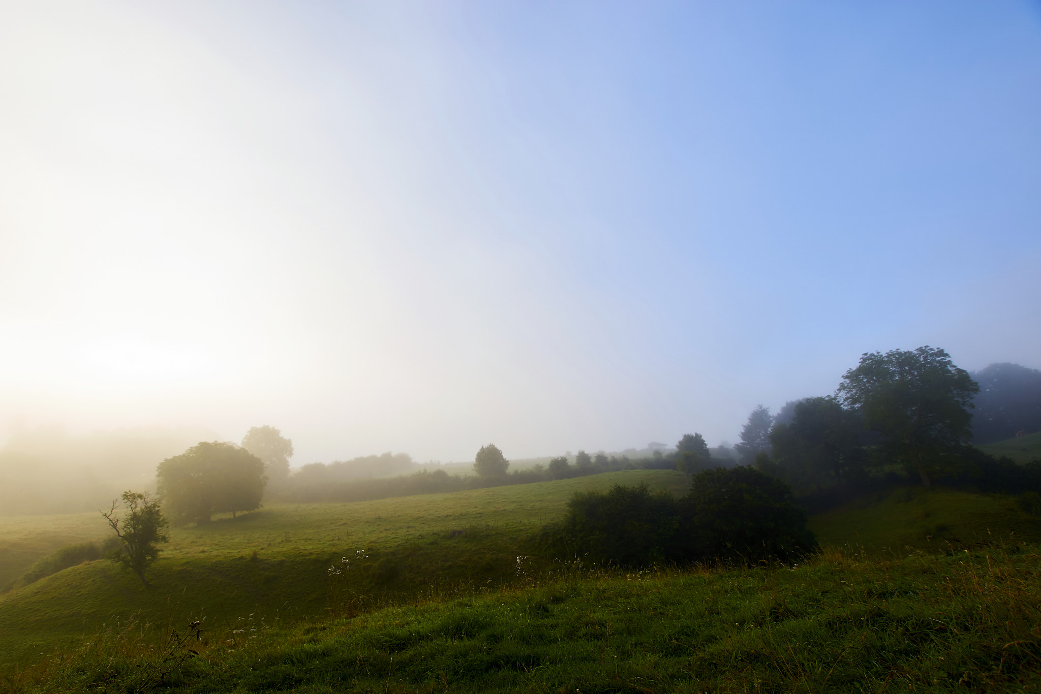 Sony ILCA-77M2 + 10-20mm F3.5 sample photo. Foggy morning photography