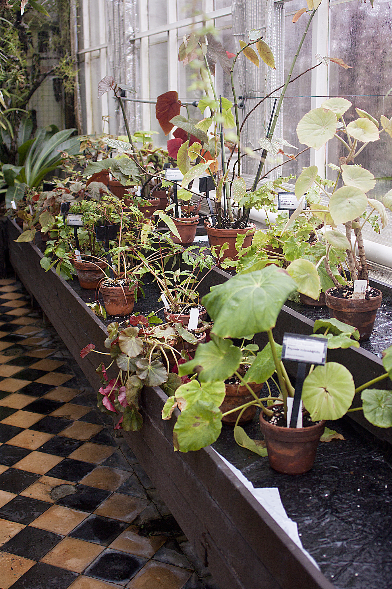 Canon EF 28mm F2.8 IS USM sample photo. Plantehuset i bergen photography