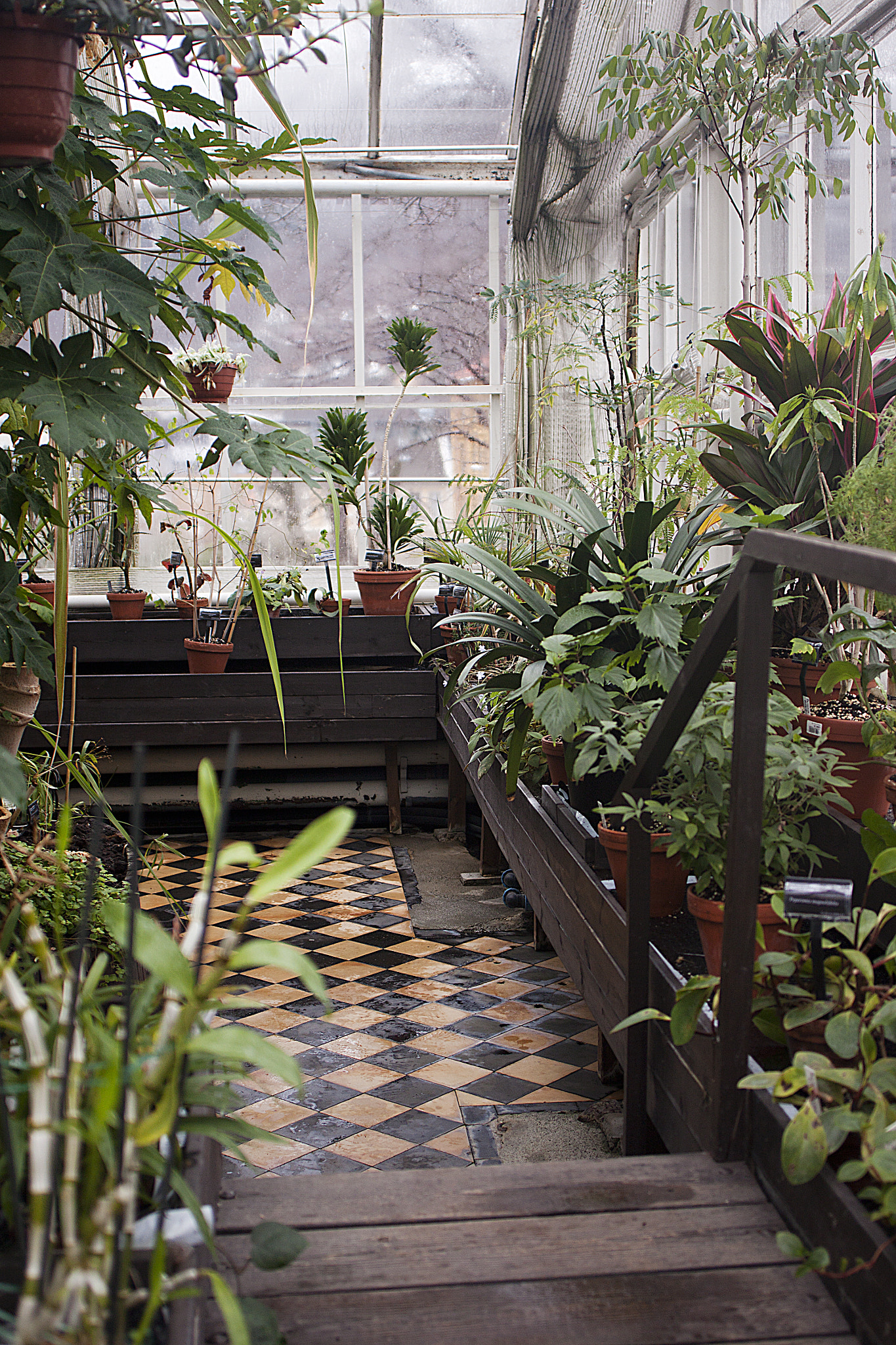 Canon EF 28mm F2.8 IS USM sample photo. Plantehuset i bergen photography