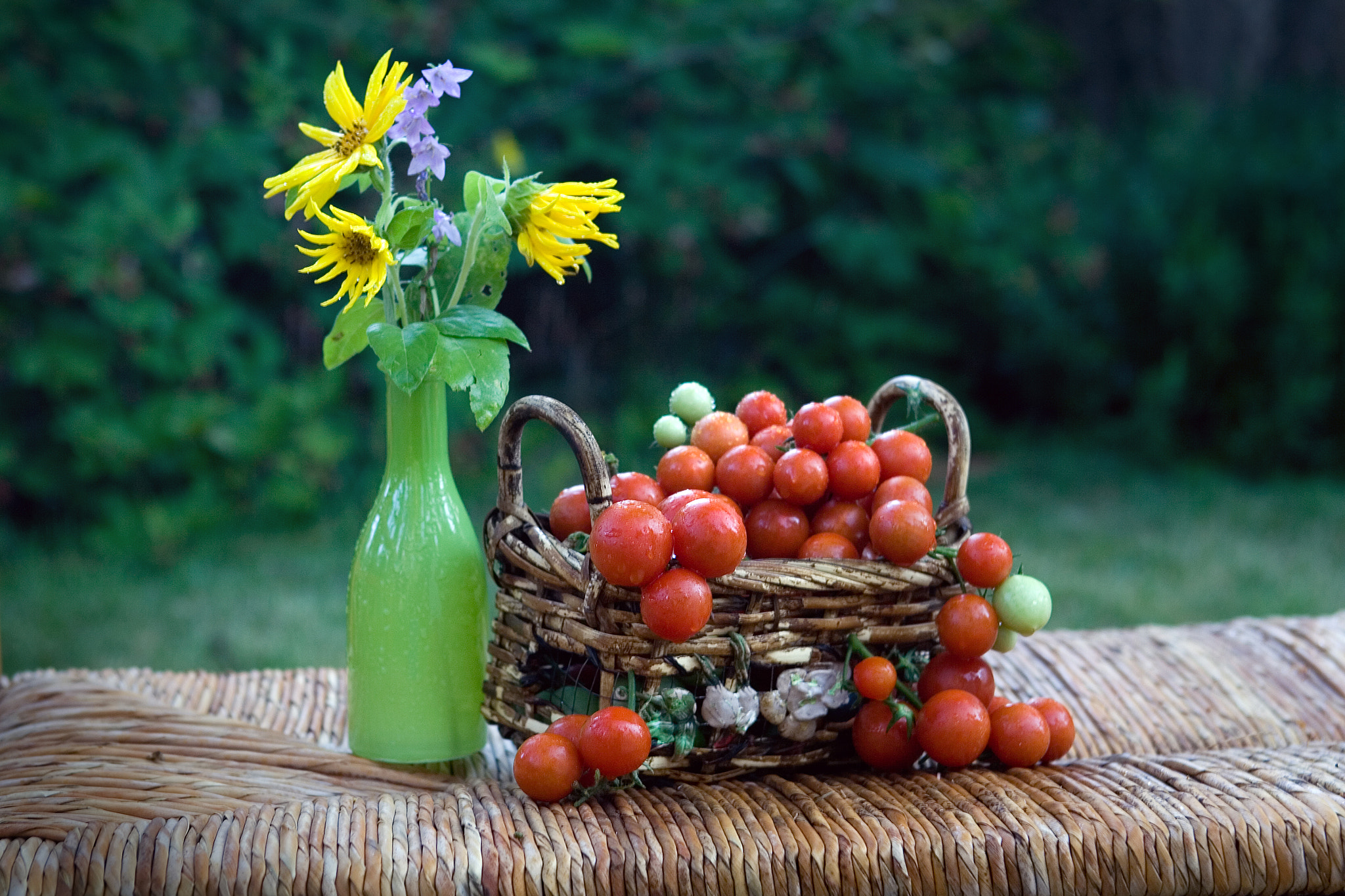Canon EOS-1D Mark II N sample photo. Tomatoes photography
