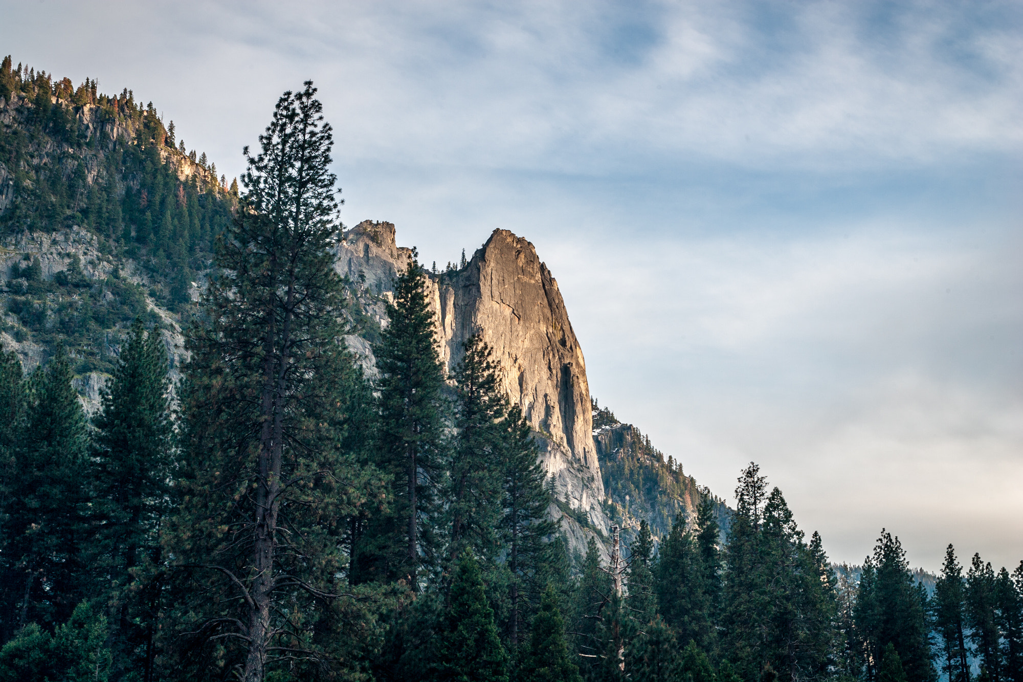 Canon EOS-1D Mark II sample photo. Yosemite national park photography