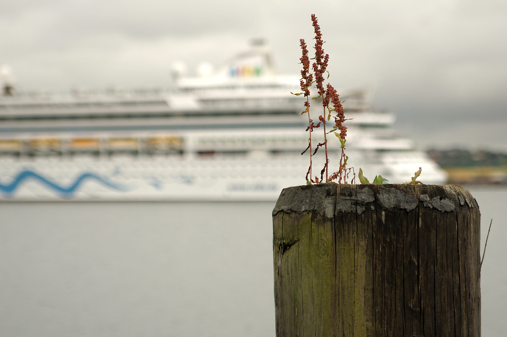 Tamron AF 28-75mm F2.8 XR Di LD Aspherical (IF) sample photo. Aidavita in kiel photography