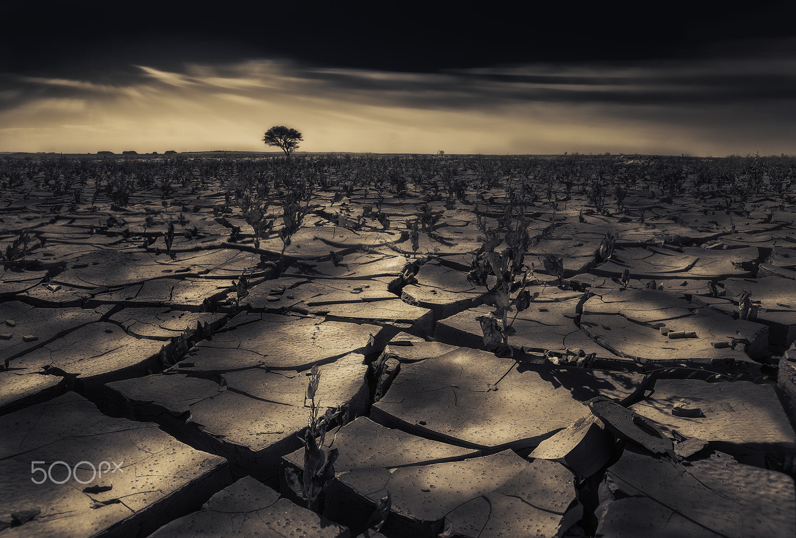 Sony a7R II + 24-105mm F4 sample photo. Apocalypse photography
