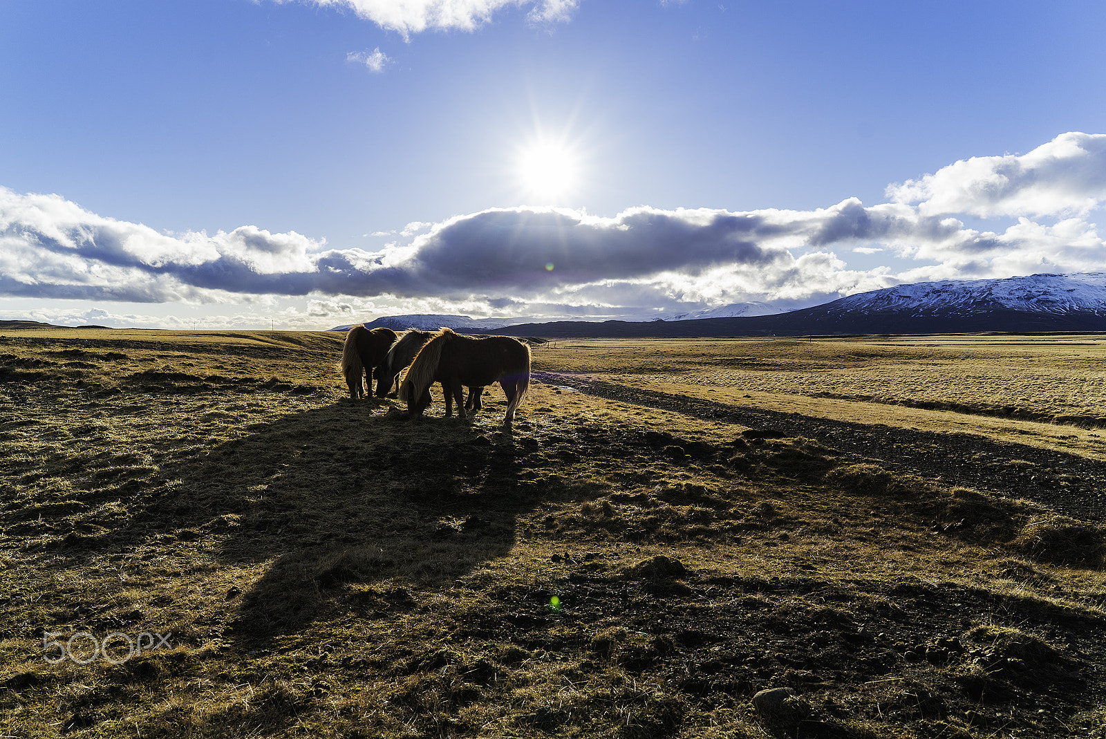 Sony a7S + ZEISS Batis 25mm F2 sample photo