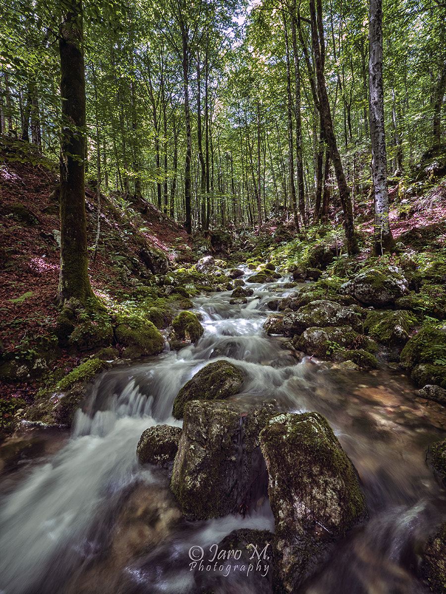 Panasonic Lumix DMC-GX8 + Panasonic Lumix G Vario 7-14mm F4 ASPH sample photo. Water... photography