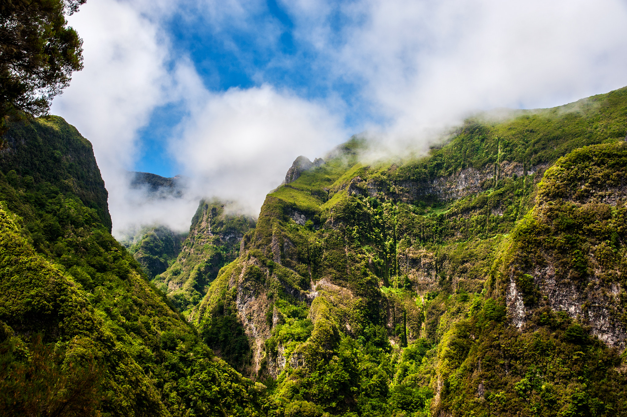 AF Zoom-Nikkor 28-105mm f/3.5-4.5D IF sample photo. Madeira trip photography
