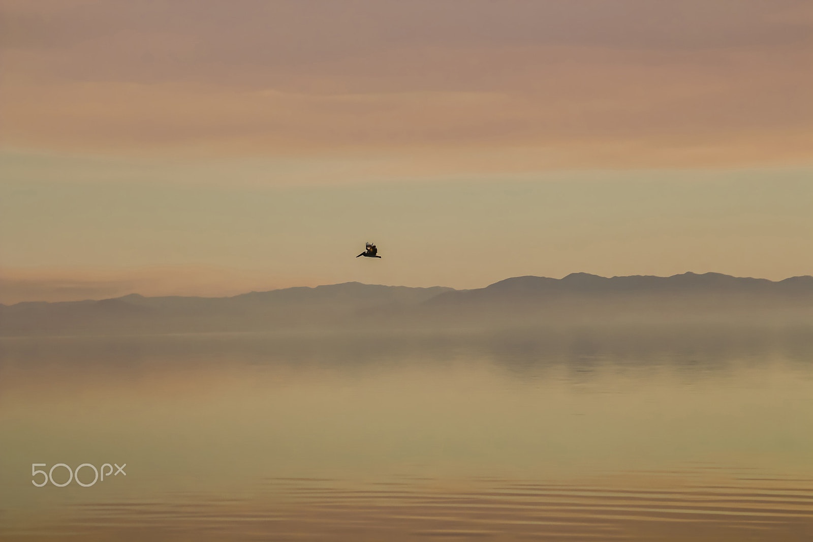 Canon EOS 650D (EOS Rebel T4i / EOS Kiss X6i) sample photo. Salton sea () xdpi photography