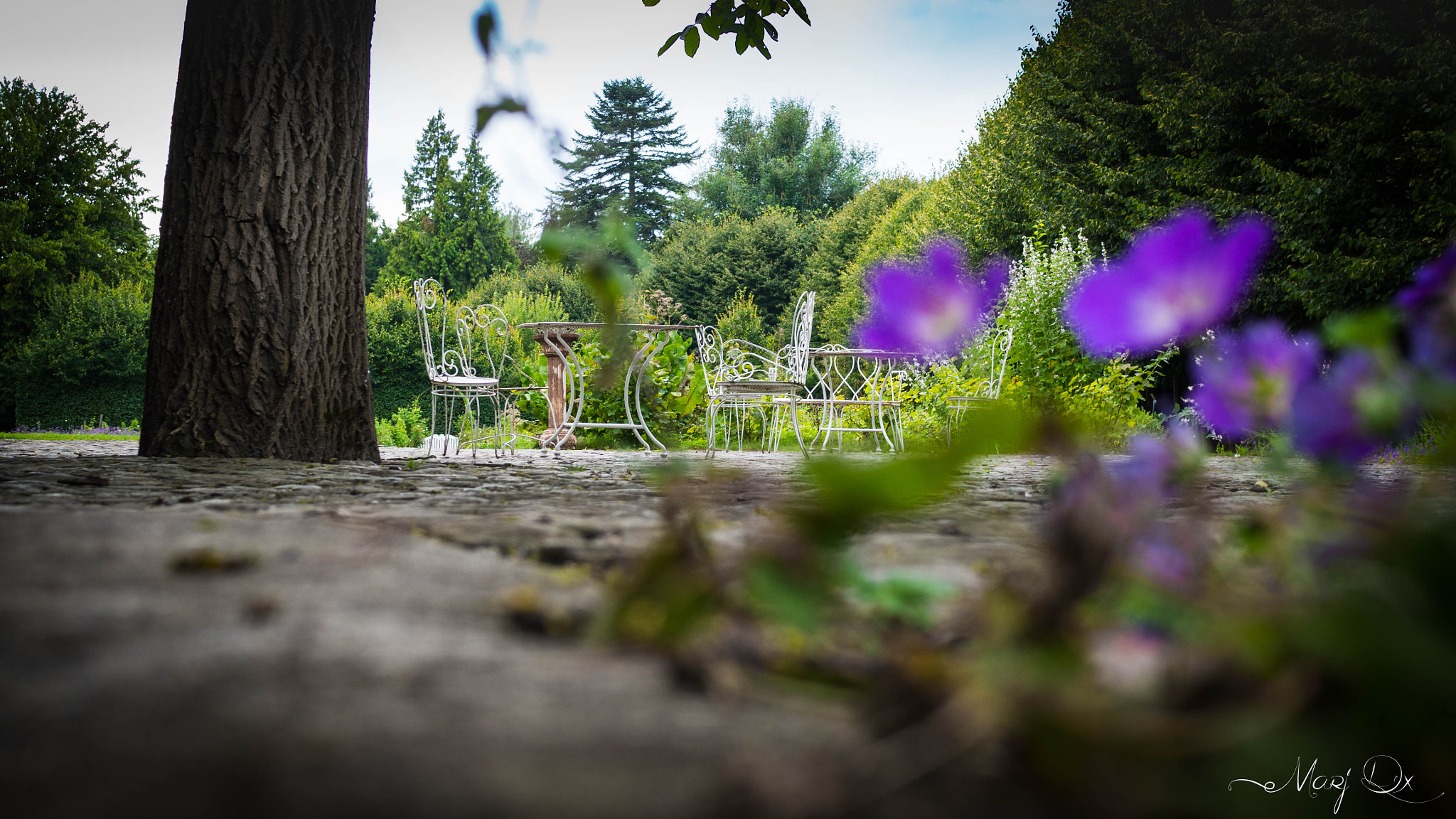 Sigma 30mm F2.8 DN Art sample photo. Olympus digital camera photography