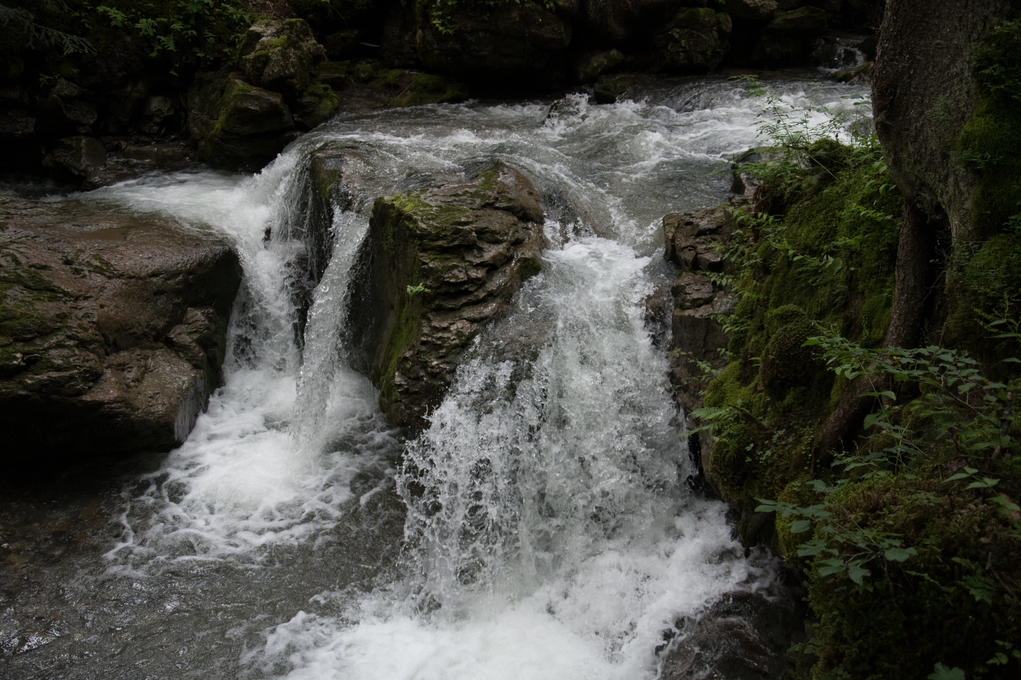 Nikon D500 sample photo. Cascade photography