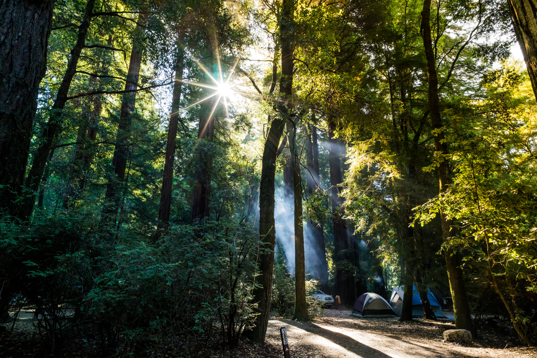 Sony a7 II + E 21mm F2.8 sample photo. Morning photography