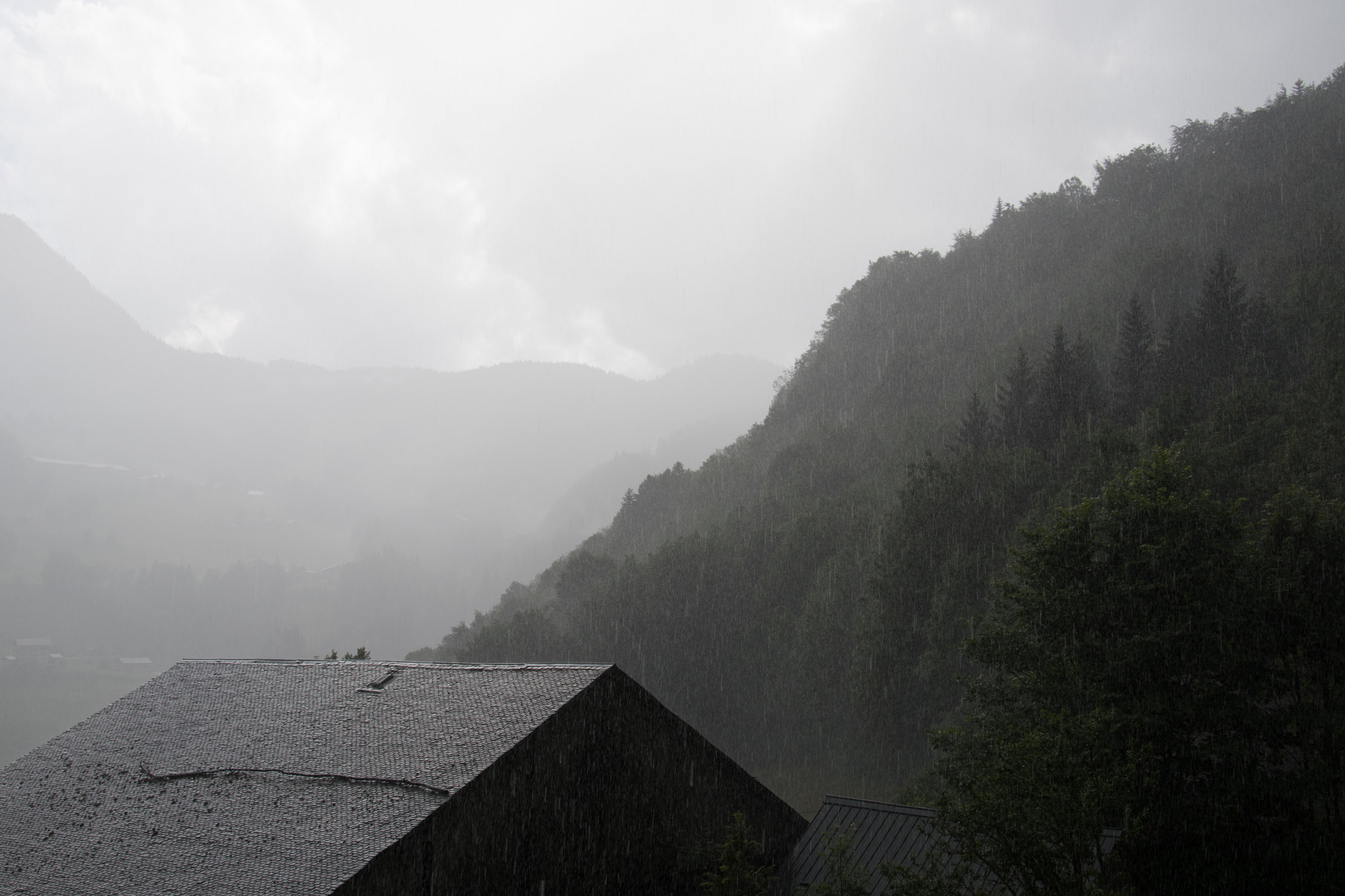 Nikon D500 sample photo. Abondance de pluie photography