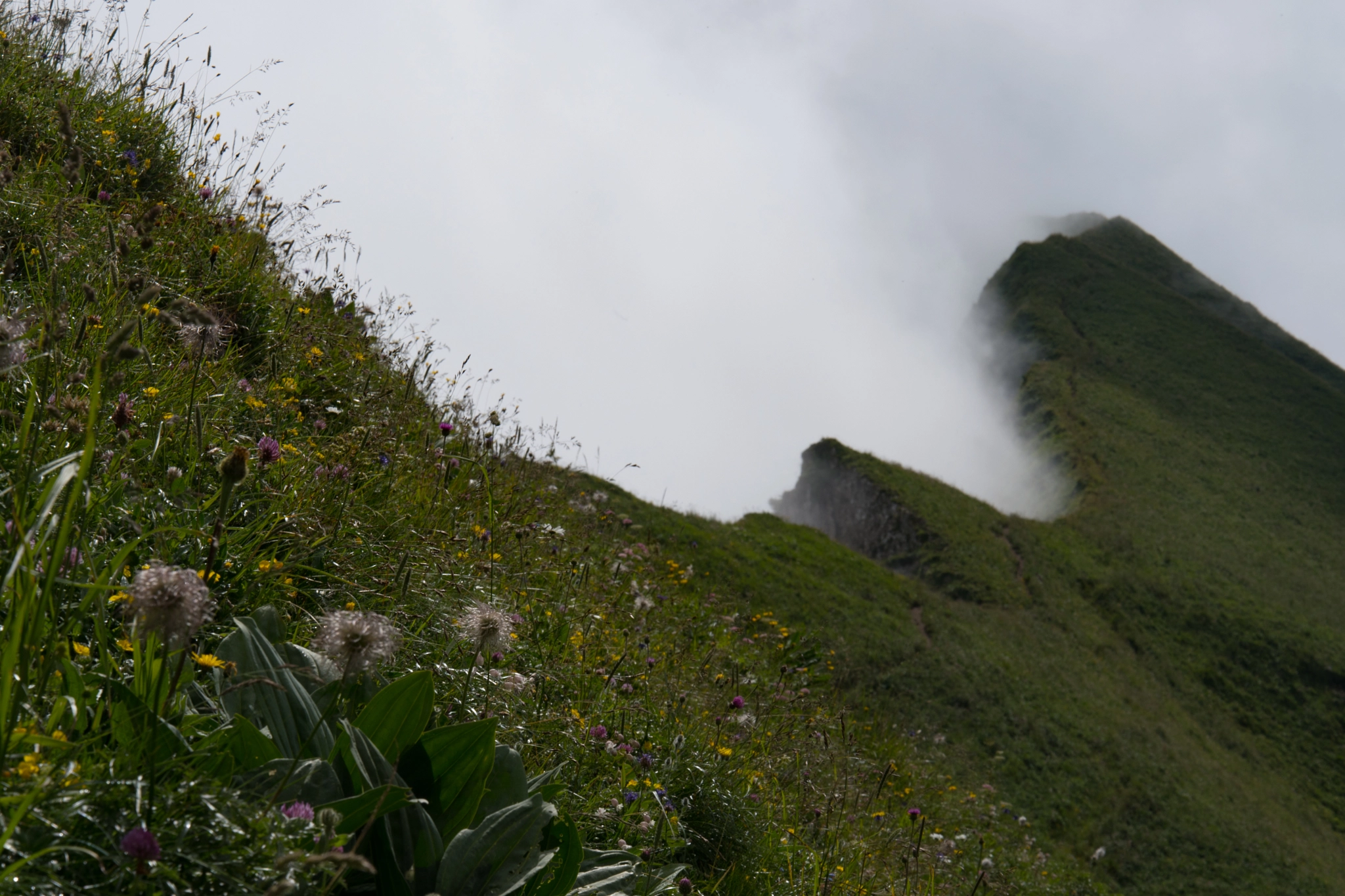Nikon D500 sample photo. Brumeux photography