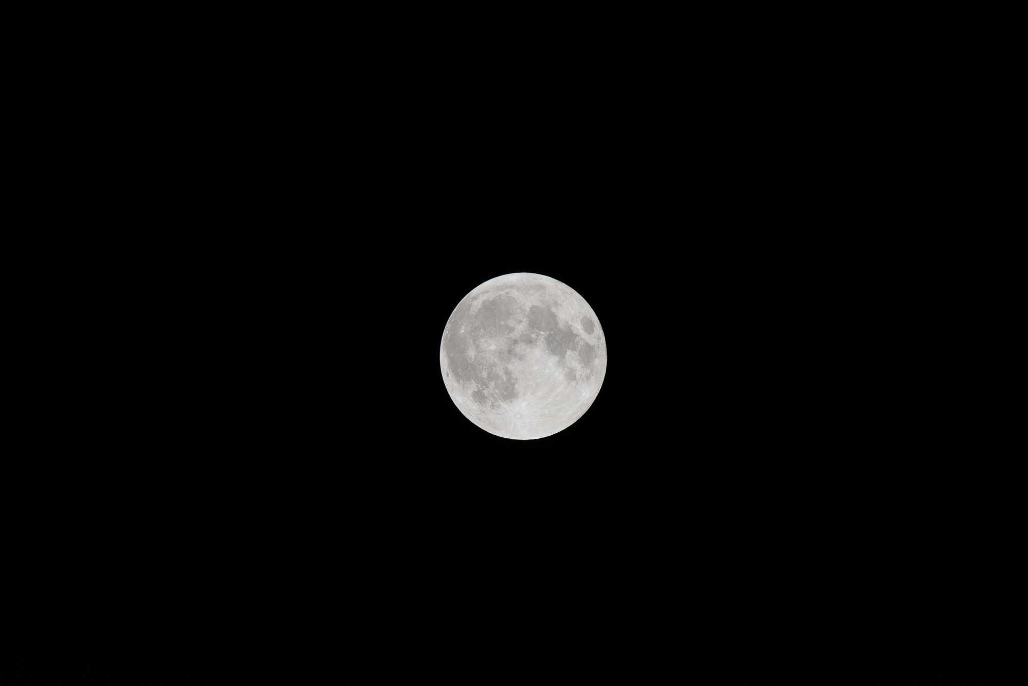 Nikon D800 + Nikon AF-S Nikkor 600mm F4G ED VR sample photo. Harvest moon photography