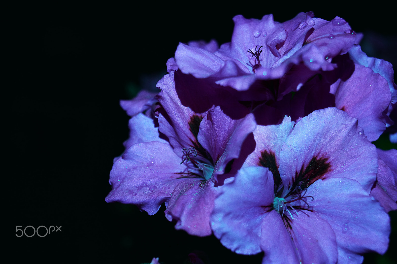 VR 18-55mm F/3.5-5.6 G sample photo. I hope it's alright. photography