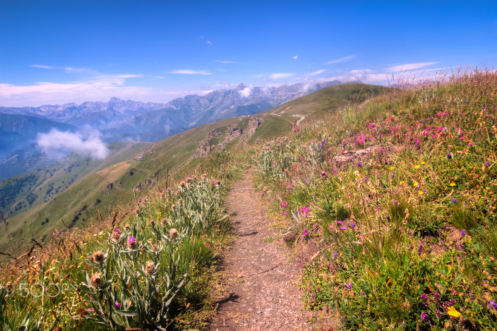 Tokina AT-X Pro 12-24mm F4 (IF) DX sample photo. The path, over the alps photography