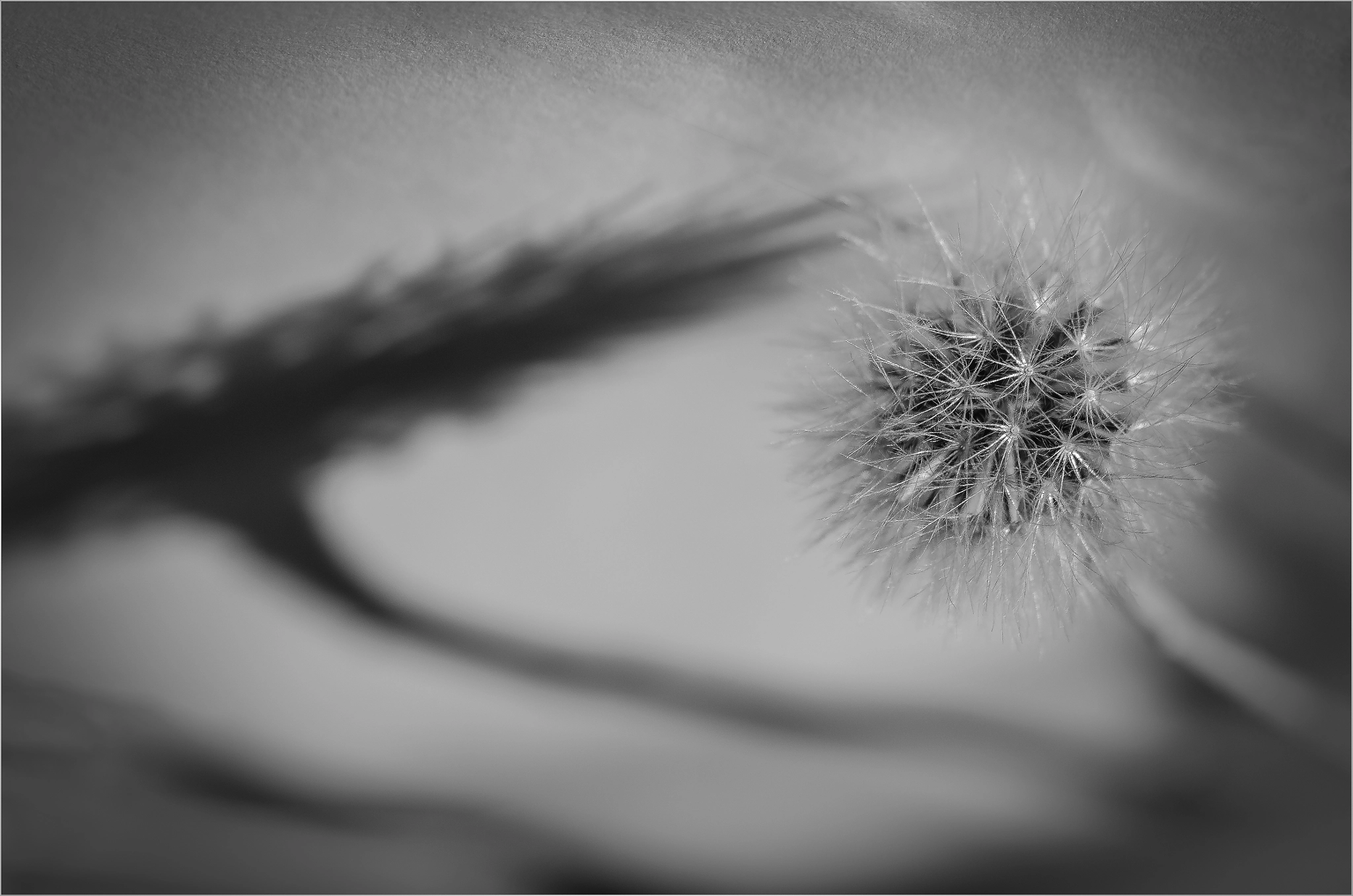 Nikon AF-S DX Micro-Nikkor 85mm F3.5G ED VR sample photo. Me and my shadow photography
