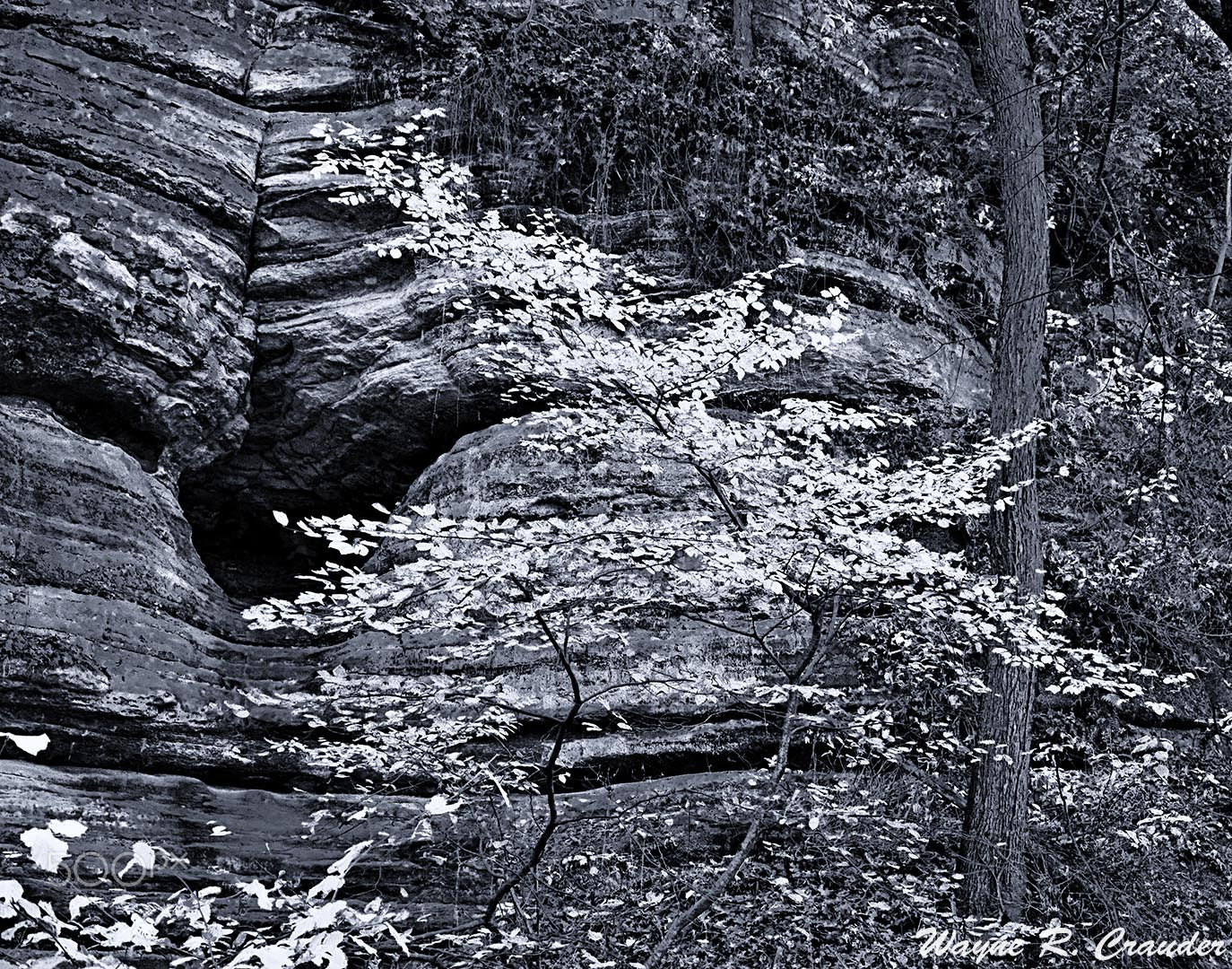 Panasonic Lumix DMC-GF5 sample photo. Starved rock photography
