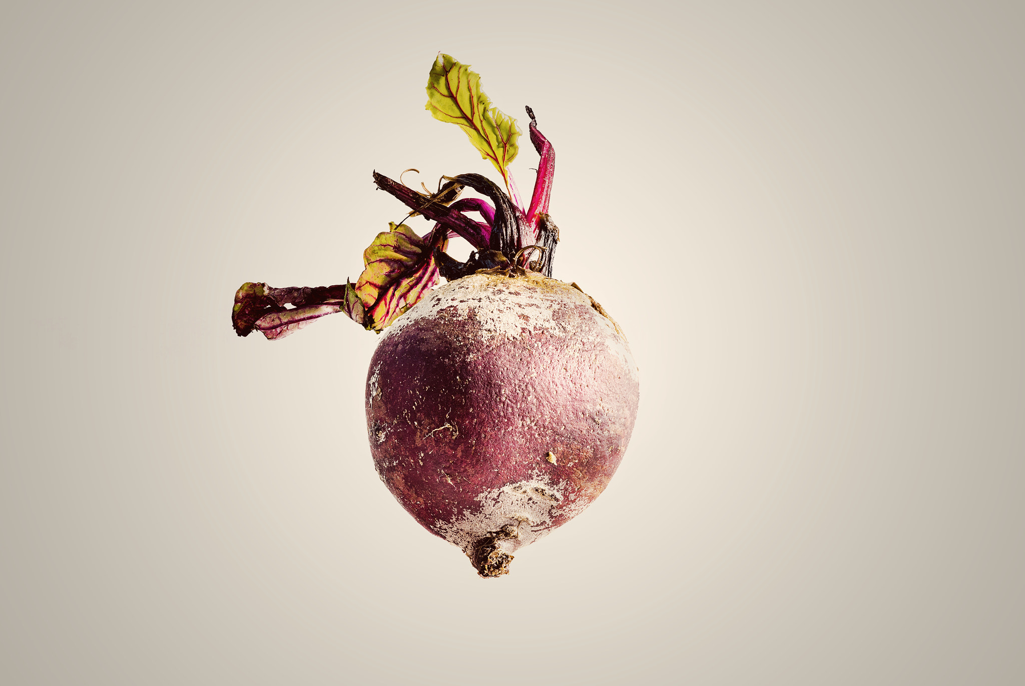 Sigma APO Macro 150mm f/2.8 EX DG HSM sample photo. Beetroot photography