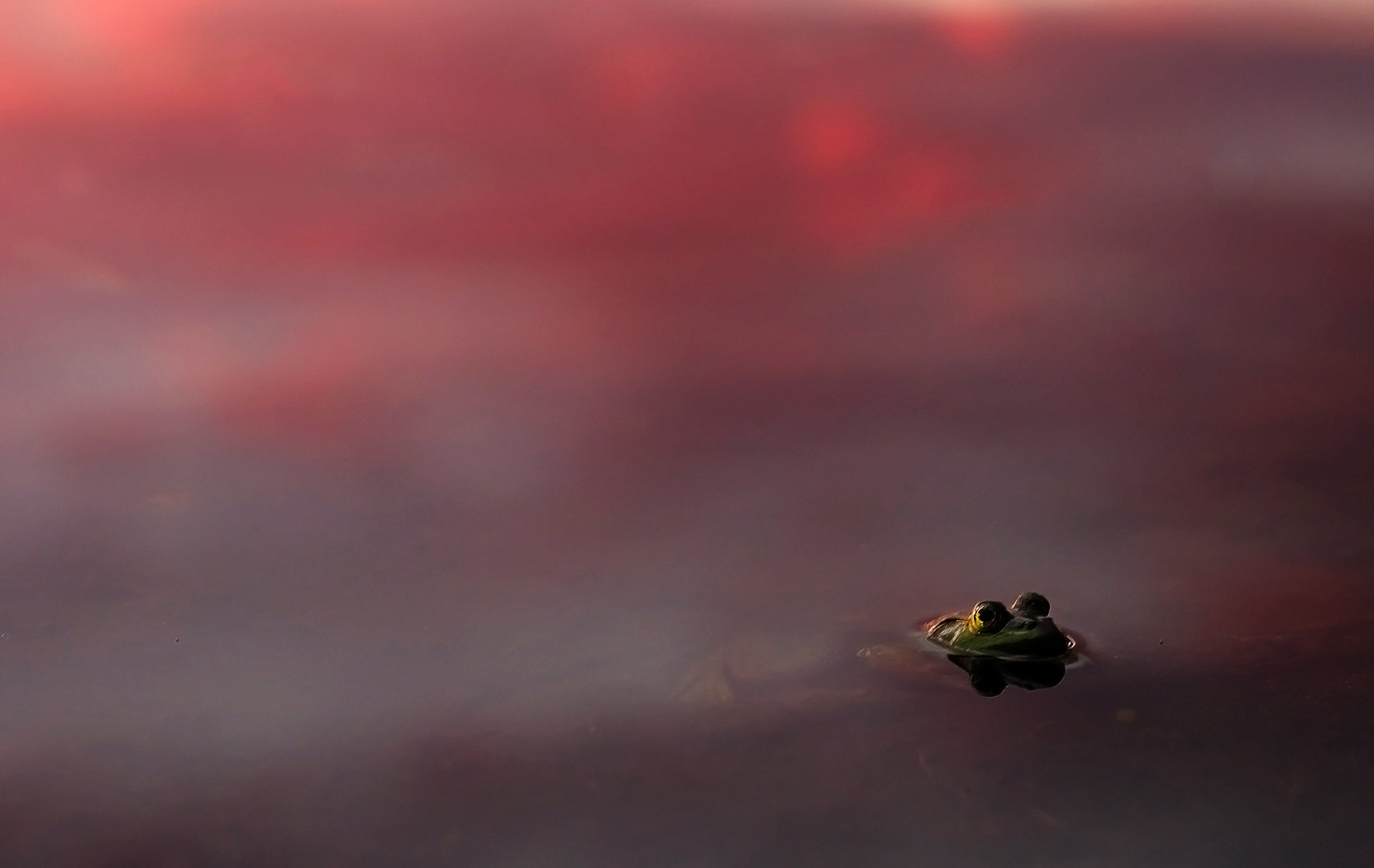 Fujifilm X-A1 + Fujifilm XF 56mm F1.2 R sample photo. Bullfrog sunset photography