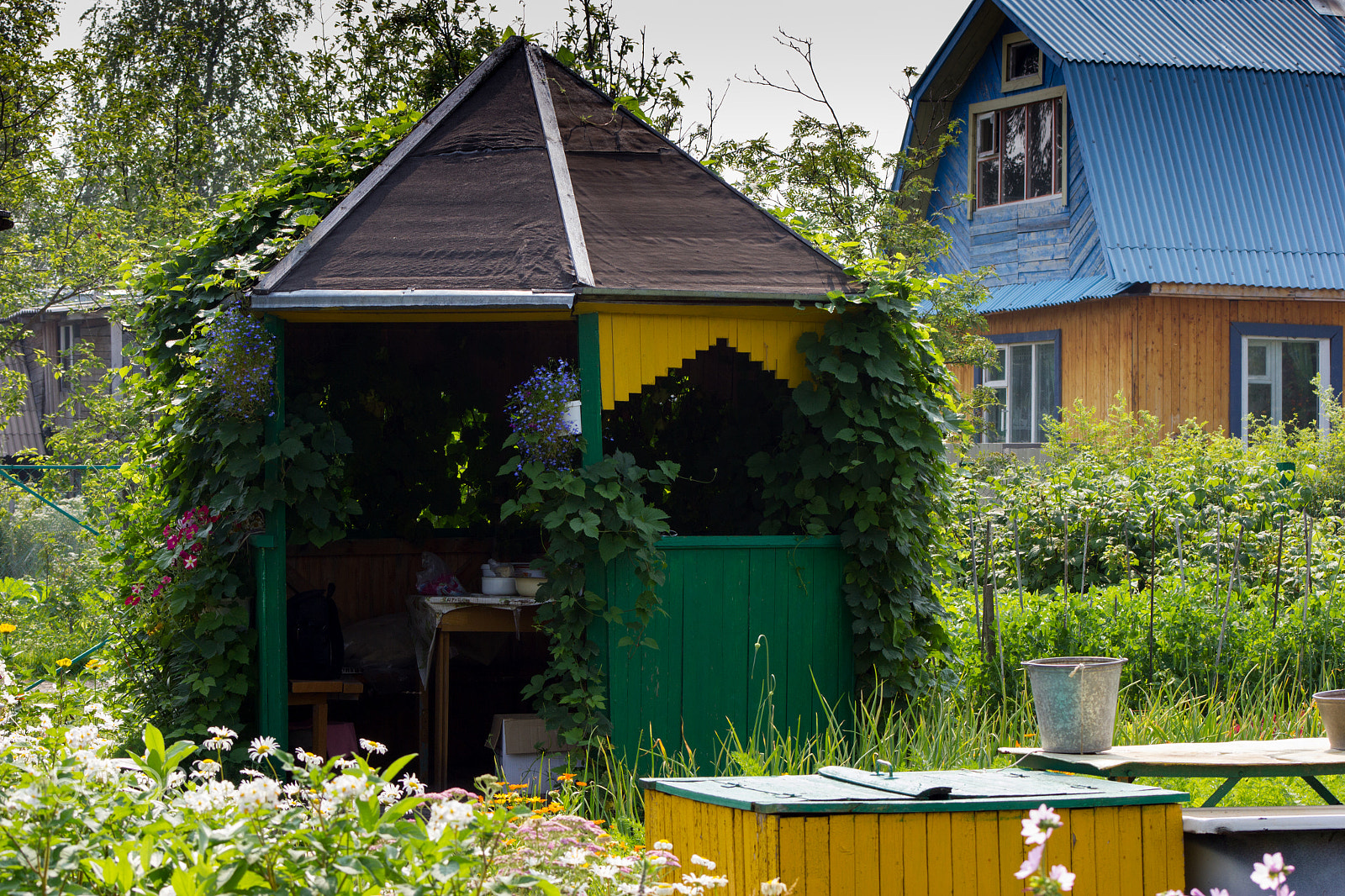 Canon EF 75-300mm f/4-5.6 USM sample photo. Country living photography