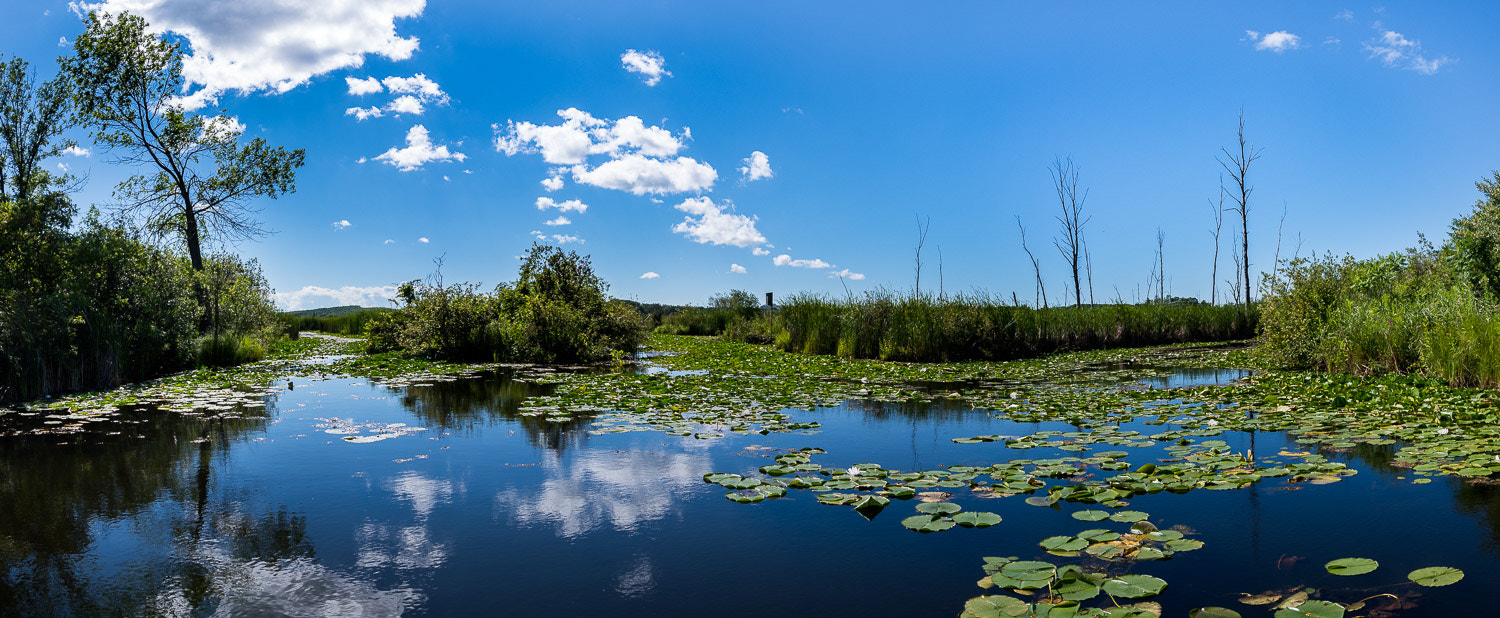 Pentax K-1 sample photo. Wye marsh panorama photography
