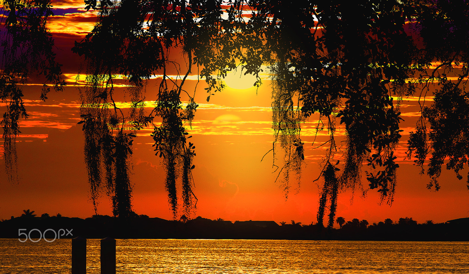 Canon EF 8-15mm F4L Fisheye USM sample photo. Florida's sunset photography