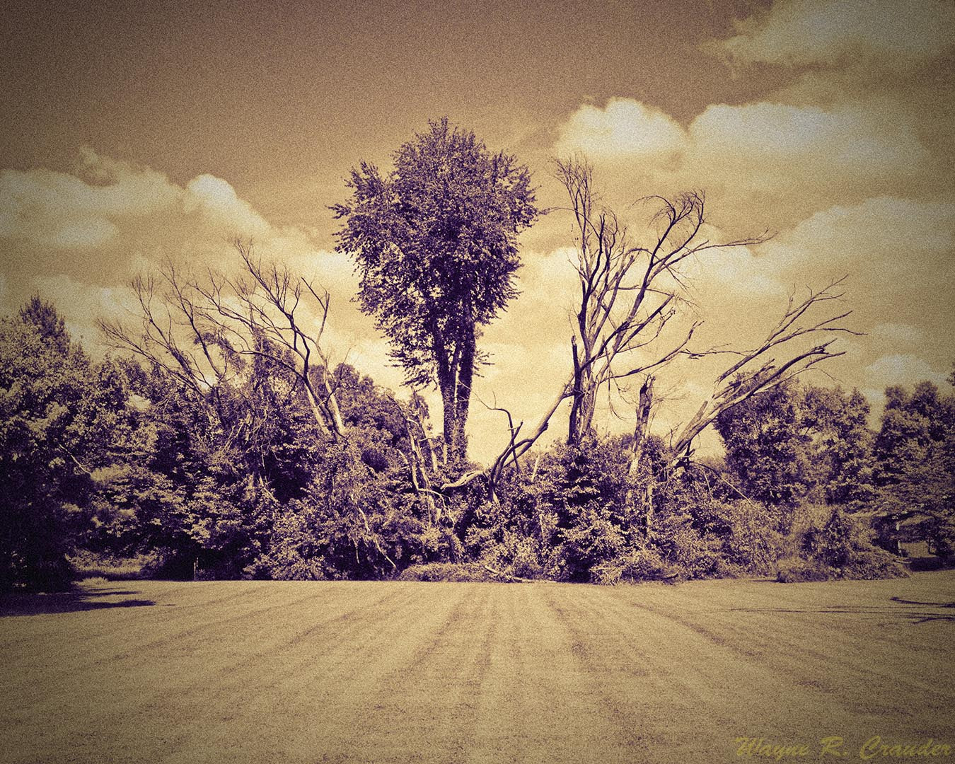 Panasonic Lumix DMC-GF5 sample photo. Kentuck drive sept photography