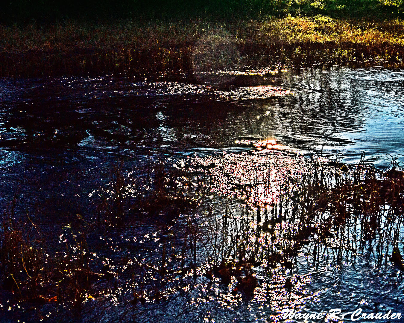 Panasonic Lumix DMC-GF5 sample photo. Cypress creek photography