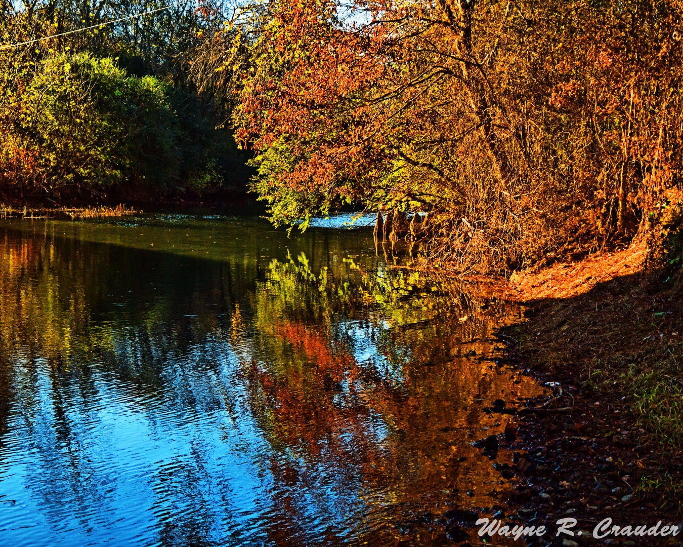 Panasonic Lumix DMC-GF5 sample photo. Cypress creek photography