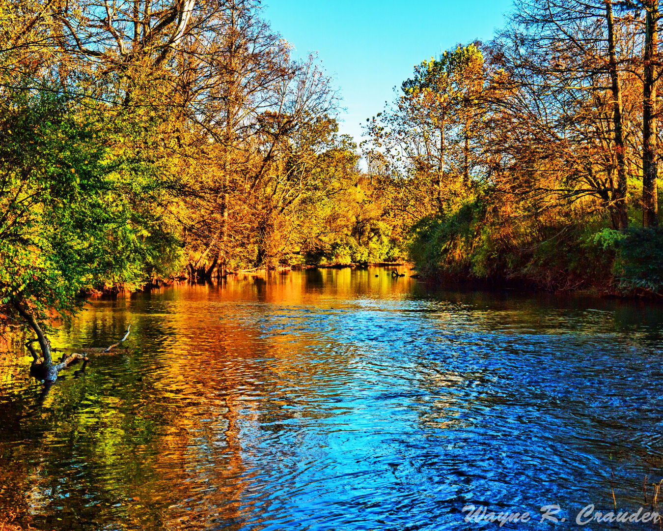 Panasonic Lumix DMC-GF5 sample photo. Cypress creek photography