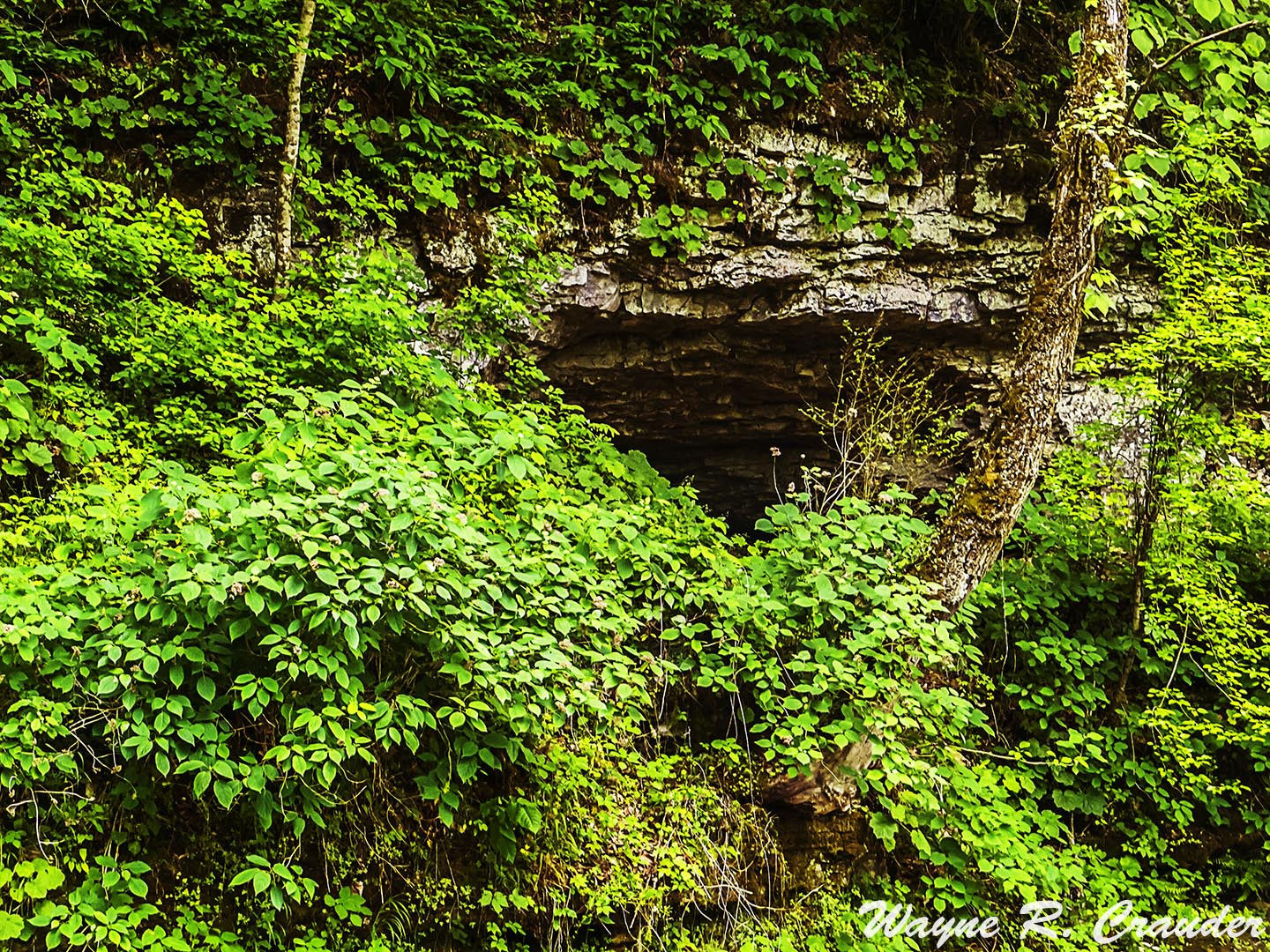 Panasonic Lumix DMC-GF5 sample photo. Gravelly springs photography
